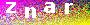 captcha_pic